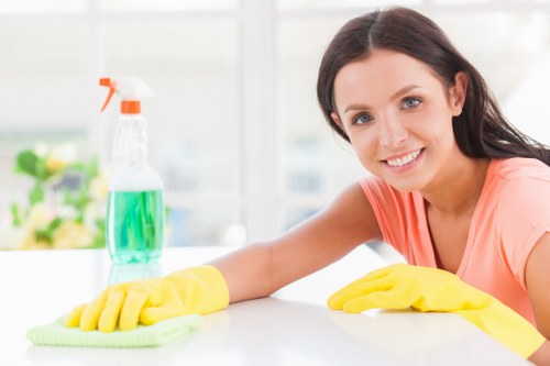 Home cleaning supplies arranged for regular cleaning tasks