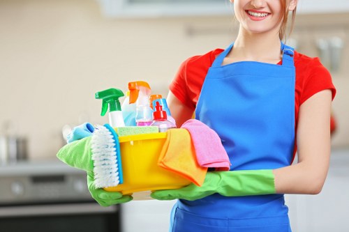 Catford cleaning specialist handling detailed domestic cleaning tasks