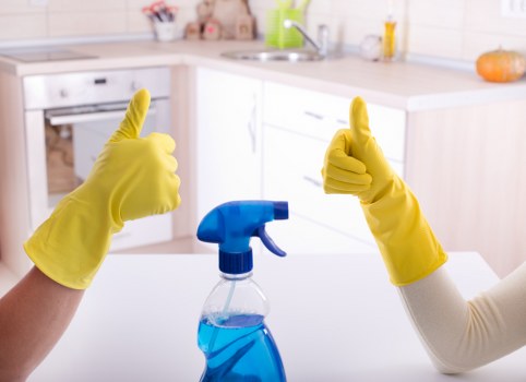 Deep cleaning supplies arranged for a one off cleaning appointment