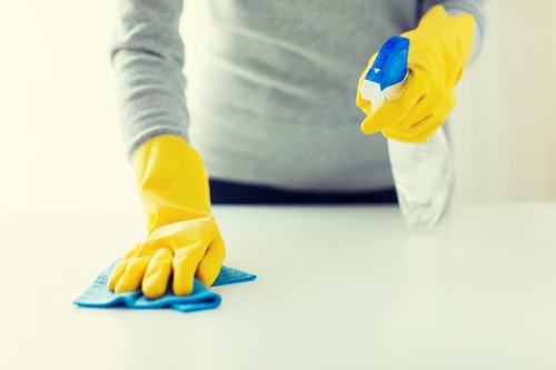 Professional cleaner working in a Catford kitchen