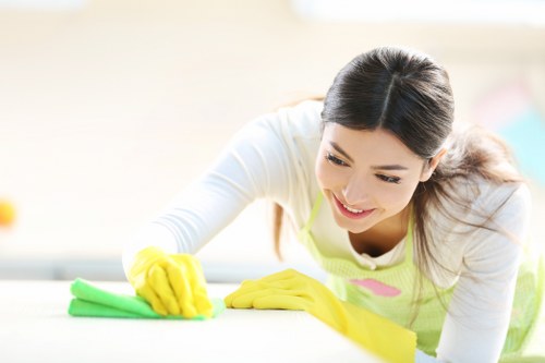 One off cleaning in a kitchen with sparkling surfaces and appliances