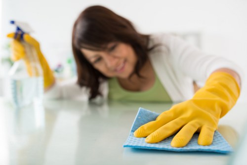 Professional end of tenancy cleaning equipment and supplies