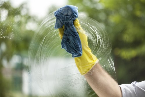 Window cleaning tools including squeegee and microfiber cloth