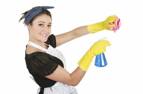 Person preparing tools for oven cleaning at home