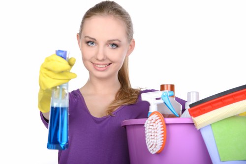 Home sofa cleaning maintenance with vacuuming and stain treatment