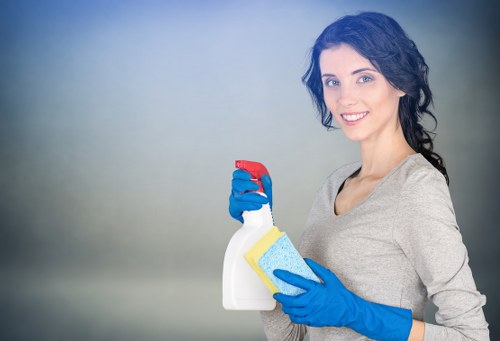 Kitchen domestic cleaning in Catford with tidy surfaces